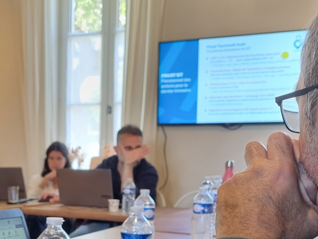 Réunion de déploiement du SIT auprès du réseau - Elodie Galsomies