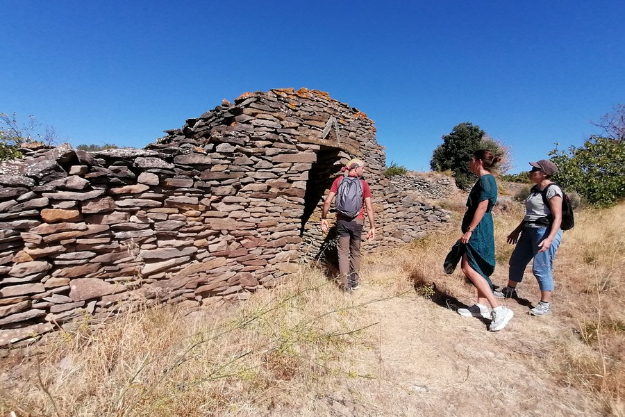 Le groupe de travail découvre l'Oenorando de La Livinière sur le terrain